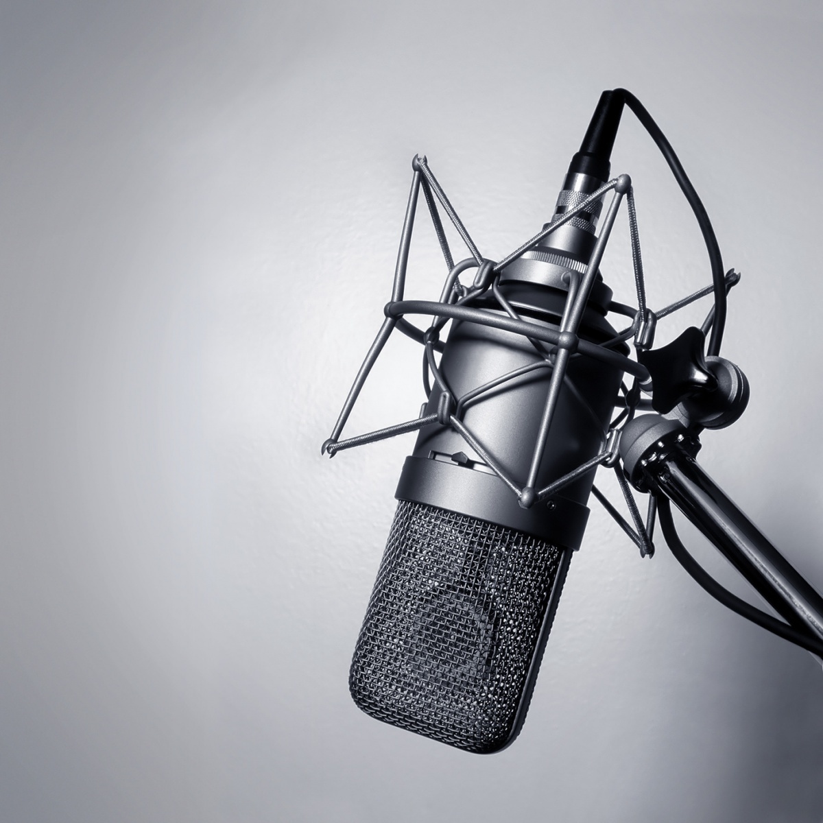 Студийный микрофон — Studio microphone