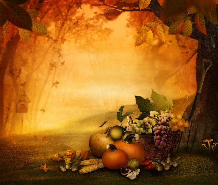 Урожай - Harvest