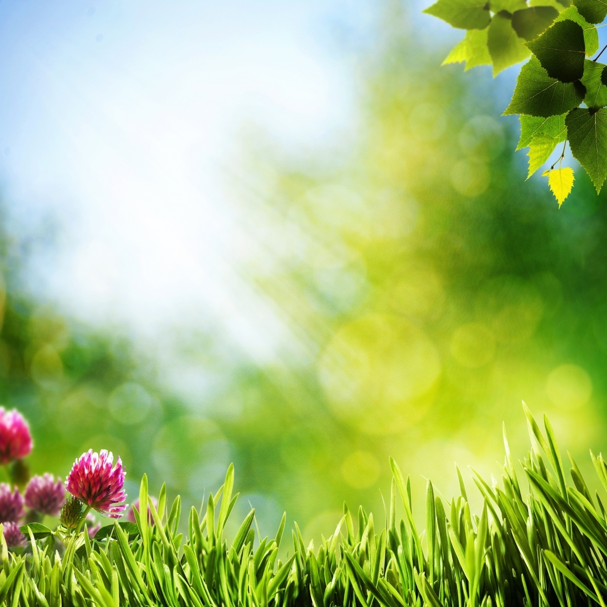 Природа — Nature