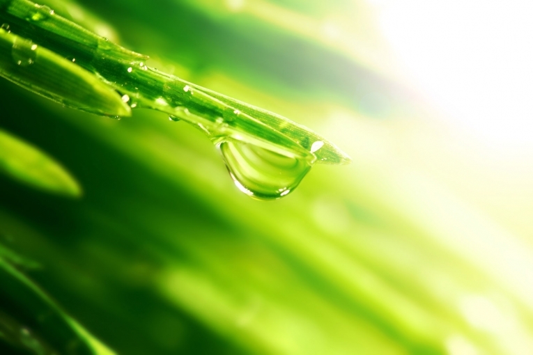 Капля воды — Water drop