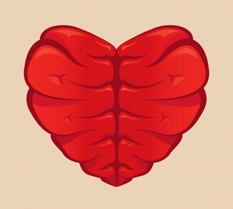 Сердце — Heart