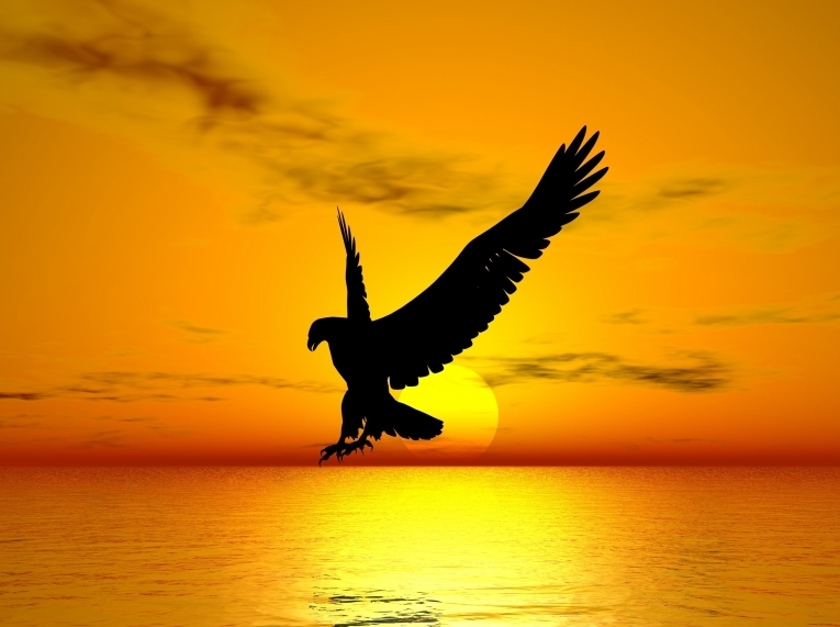 Орел — Eagle