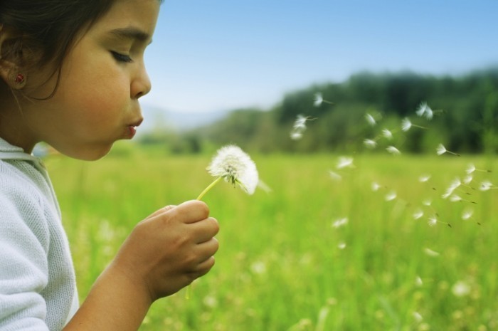 Девочка с одуванчиком - Girl with dandelion