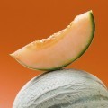 Дыня - Melon