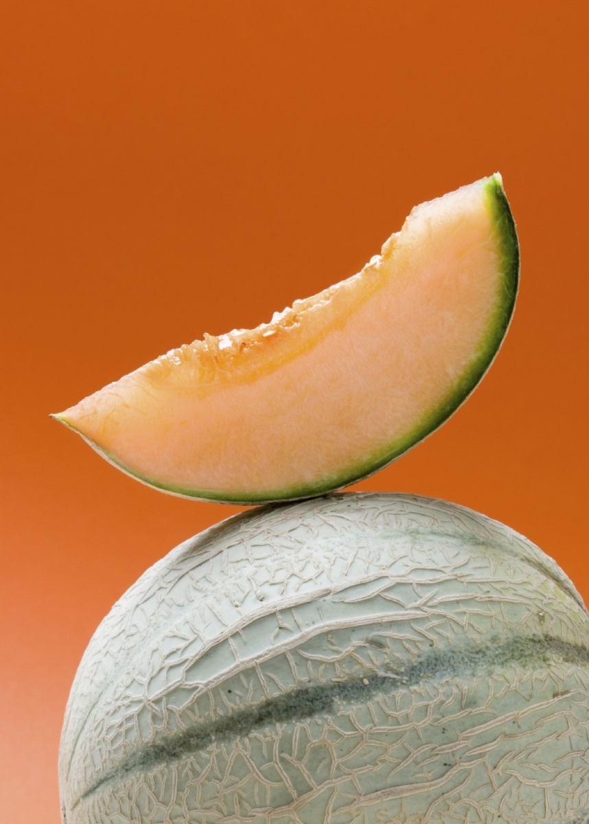 Дыня — Melon
