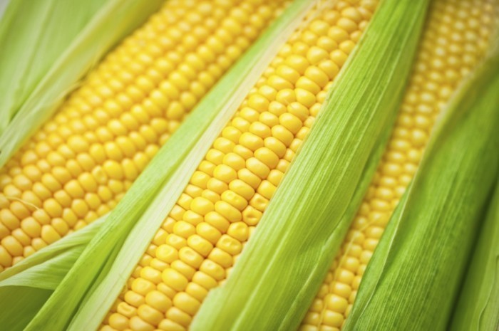 Кукуруза - Corn
