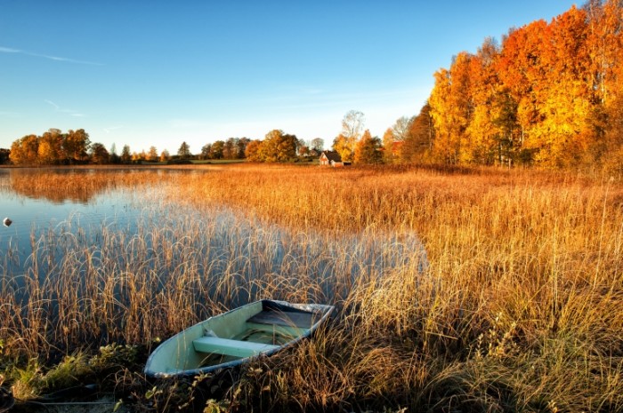 Пейзаж озера - Landscape lake