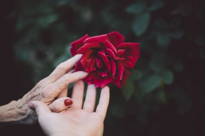 Руки, роза - Hands, rose