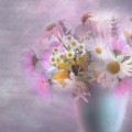 Горшок, букет, цветы - Pot, bouquet, flowers