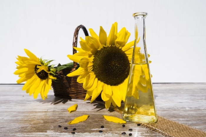 Podsolnuh maslo podsolnechnoe rastitelnoe maslo Sunflower oil sunflower oil 6000  4000 700x466 Подсолнух, масло, подсолнечное растительное масло   Sunflower, oil, sunflower oil